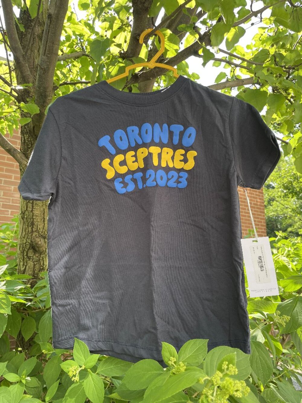 PWHL Toronto Sceptres T-Shirt (Kids)